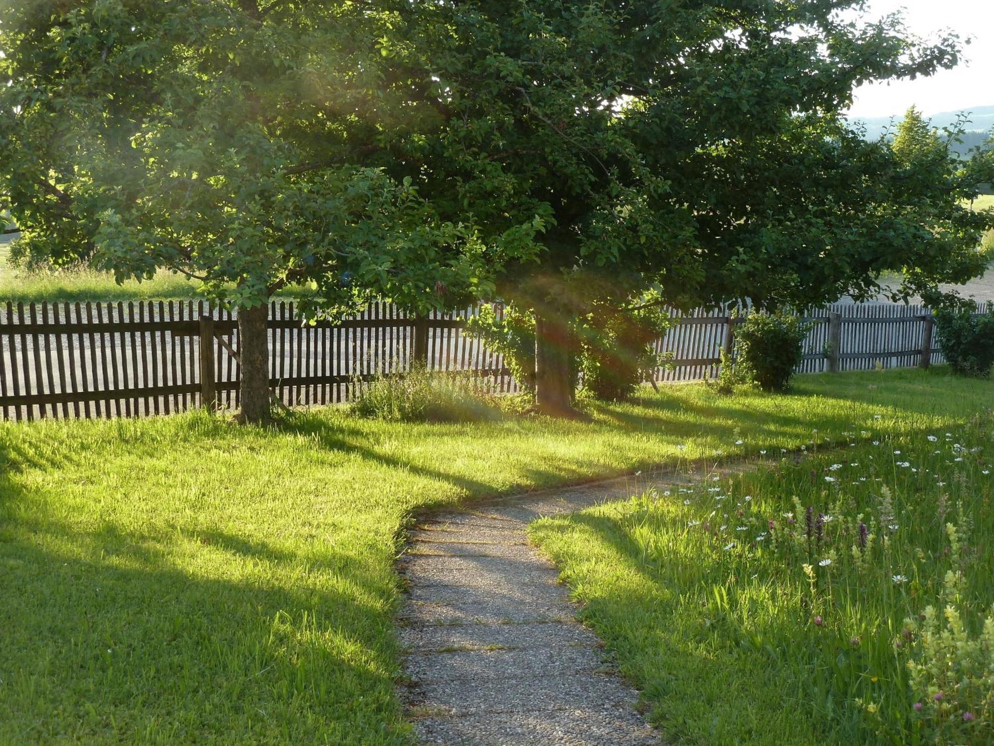 באד קוהלגרוב Ferienwohnung Hoernle מראה חיצוני תמונה